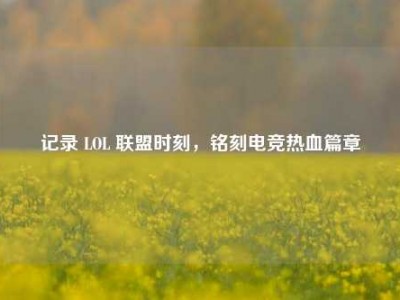 记录 LOL 联盟时刻，铭刻电竞热血篇章