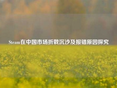 Steam在中国市场折戟沉沙及报错原因探究