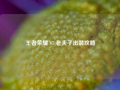 王者荣耀 S7 老夫子出装攻略