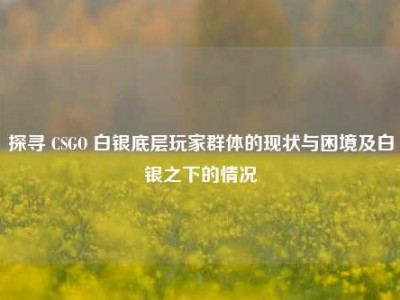探寻 CSGO 白银底层玩家群体的现状与困境及白银之下的情况