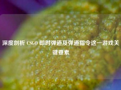 深度剖析 CSGO 即时弹道及弹道指令这一游戏关键要素