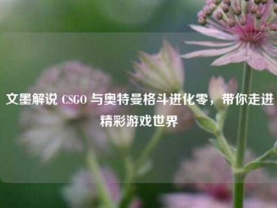 文墨解说 CSGO 与奥特曼格斗进化零，带你走进精彩游戏世界