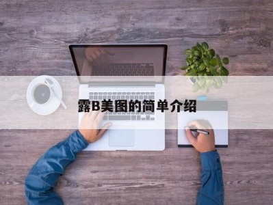 露B美图的简单介绍