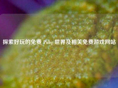 探索好玩的免费 Pubg 世界及相关免费游戏网站