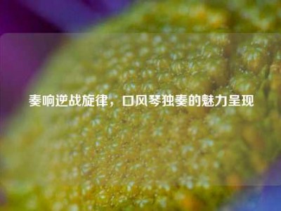 奏响逆战旋律，口风琴独奏的魅力呈现