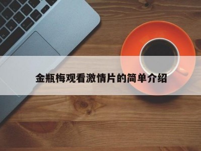 金瓶梅观看激情片的简单介绍