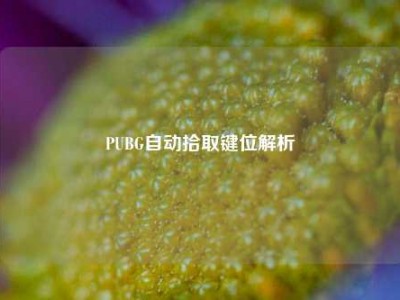 PUBG自动拾取键位解析