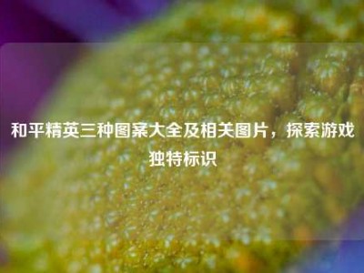 和平精英三种图案大全及相关图片，探索游戏独特标识