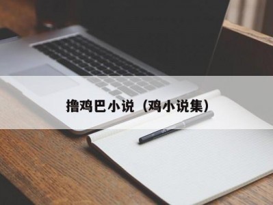 撸鸡巴小说（鸡小说集）