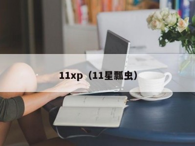 11xp（11星瓢虫）