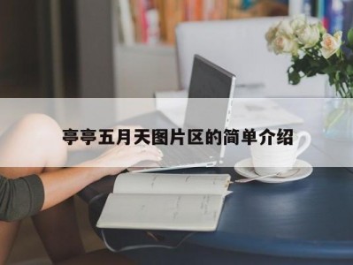 亭亭五月天图片区的简单介绍