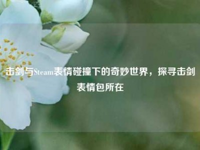 击剑与Steam表情碰撞下的奇妙世界，探寻击剑表情包所在