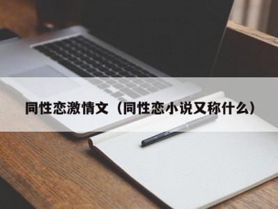 同性恋激情文（同性恋小说又称什么）