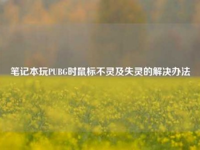 笔记本玩PUBG时鼠标不灵及失灵的解决办法
