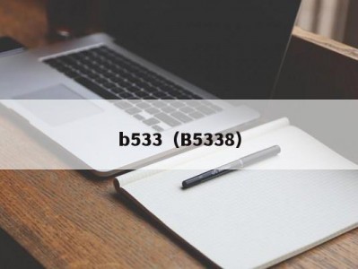 b533（B5338）
