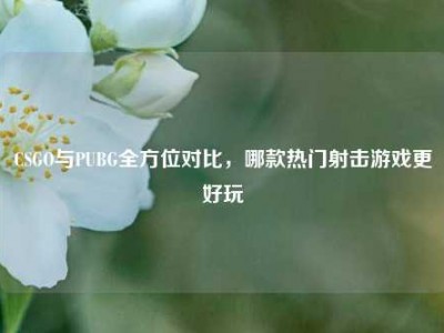 CSGO与PUBG全方位对比，哪款热门射击游戏更好玩