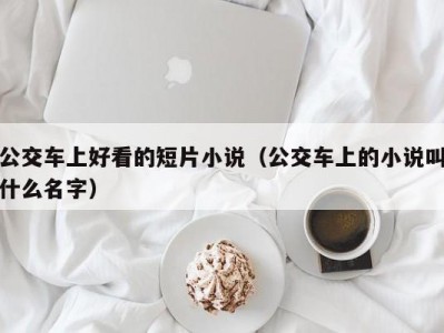 公交车上好看的短片小说（公交车上的小说叫什么名字）