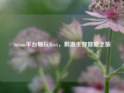 Steam平台畅玩Rust，     生存冒险之旅
