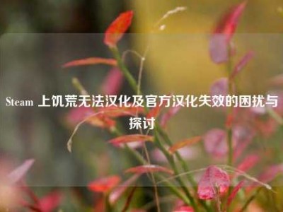 Steam 上饥荒无法汉化及官方汉化失效的困扰与探讨