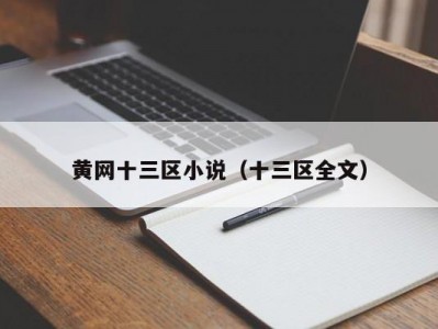 黄网十三区小说（十三区全文）