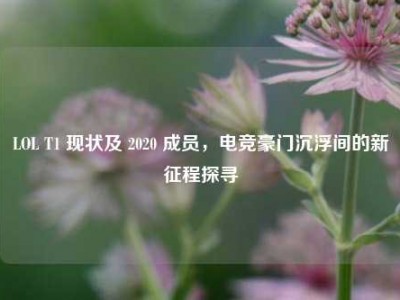 LOL T1 现状及 2020 成员，电竞豪门沉浮间的新征程探寻