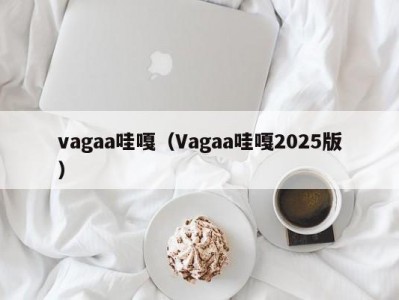 vagaa哇嘎（Vagaa哇嘎2025版）