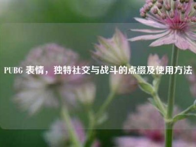 PUBG 表情，独特社交与战斗的点缀及使用     