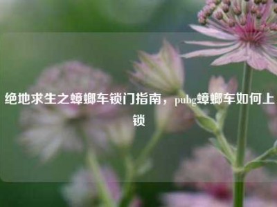 绝地求生之蟑螂车锁门指南，pubg蟑螂车如何上锁