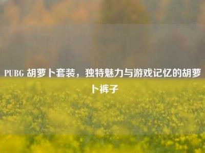 PUBG 胡萝卜套装，独特魅力与游戏记忆的胡萝卜裤子