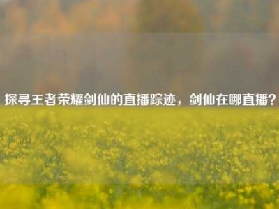 探寻王者荣耀剑仙的直播踪迹，剑仙在哪直播？