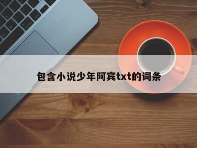 包含小说少年阿宾txt的词条