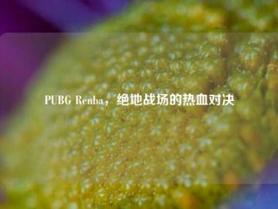 PUBG Renba，绝地战场的热血对决