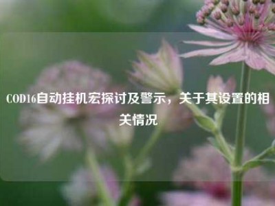 COD16自动挂机宏探讨及警示，关于其设置的相关情况
