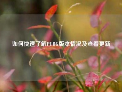 如何快速了解PUBG版本情况及查看更新