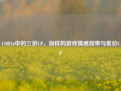 COD16中的三折CP，别样的游戏情感纽带与低价CP