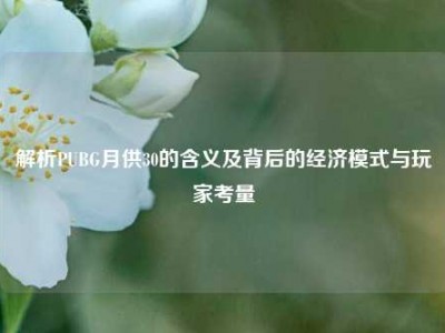 解析PUBG月供30的含义及背后的经济模式与玩家考量