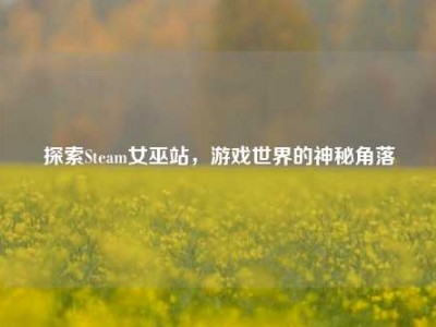 探索Steam女巫站，游戏世界的神秘角落