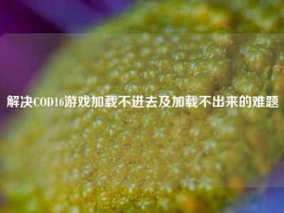 解决COD16游戏加载不进去及加载不出来的难题