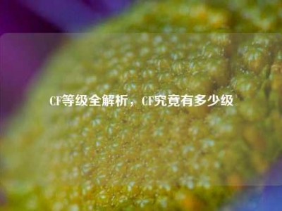 CF等级全解析，CF究竟有多少级
