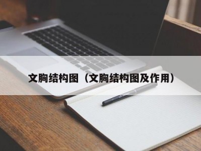 文胸结构图（文胸结构图及作用）