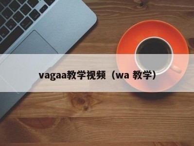vagaa教学视频（wa 教学）