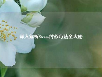 深入解析Steam付款方法全攻略