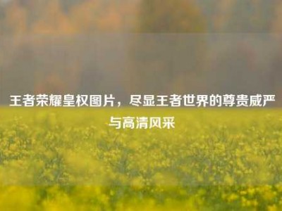 王者荣耀皇权图片，尽显王者世界的尊贵威严与高清风采