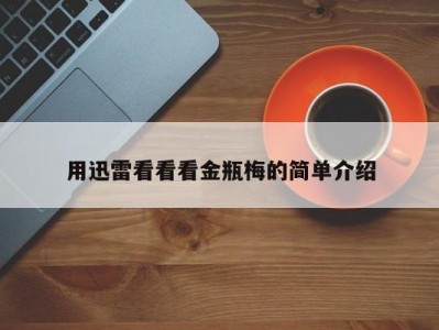 用迅雷看看看金瓶梅的简单介绍