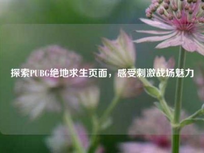 探索PUBG绝地求生页面，感受     战场魅力