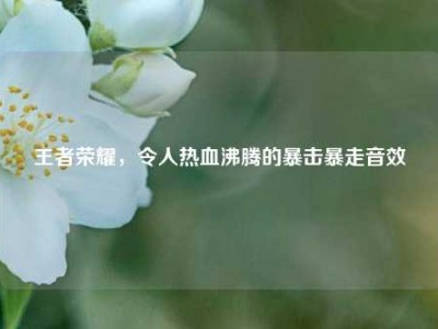 王者荣耀，令人热血沸腾的暴击暴走音效