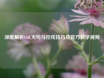 深度解析LOL大司马控线技巧及官方教学视频