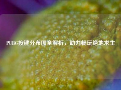 PUBG按键分布图全解析，助力畅玩绝地求生