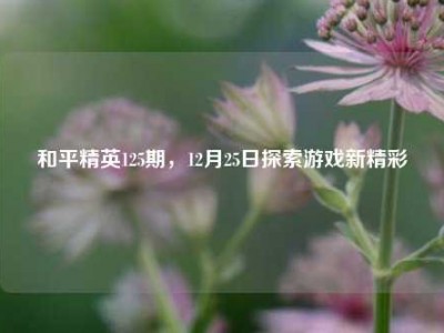 和平精英125期，12月25日探索游戏新精彩