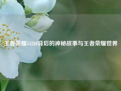 王者荣耀54288背后的神秘故事与王者荣耀世界